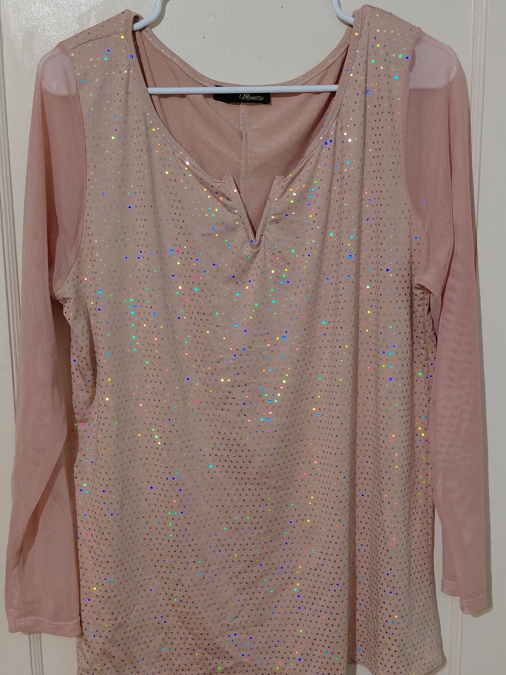Women’s Pink Sequin Mesh Long Sleeve Blouse by Minette